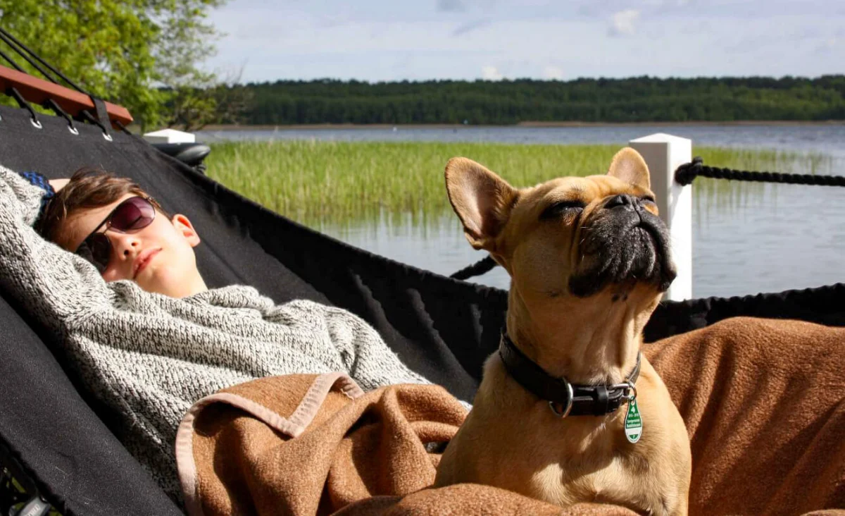 Ein Kind mit Sonnenbrille liegt auf einer Hängematte neben einem Bulldoggenrüden vor einem See