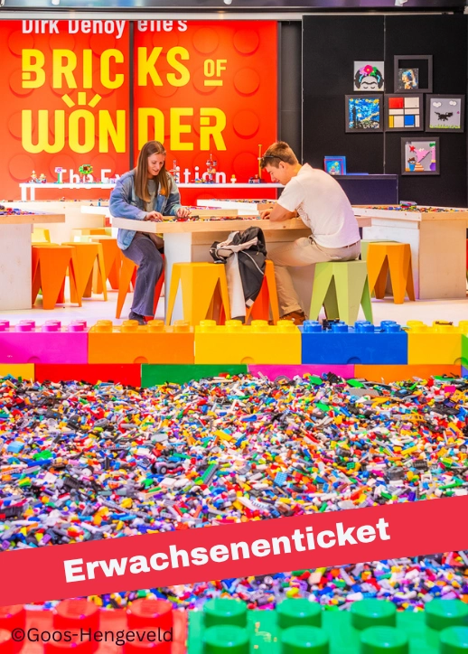 Erwachsene im Bricks of Wonder Magdeburg spielen mit Lego.